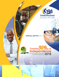 2015 20SBA 20Annual 20Report